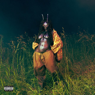 SZA - SOS Deluxe: LANA album cover
