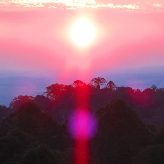 Grouper - Paradise Valley single cover