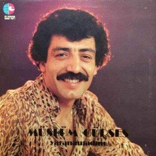 Müslüm Gürses - Yaranamadım album cover