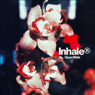 Inhaler - Open Wide album cover