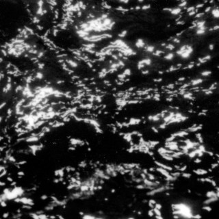Grouper - A I A: Dream Loss album cover