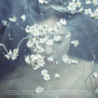 IRENE - Like A Flower EP cover