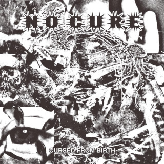 No Cure - Cursed From Birth EP cover