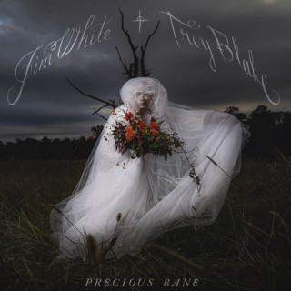 Jim White & Trey Blake - Precious Bane album cover