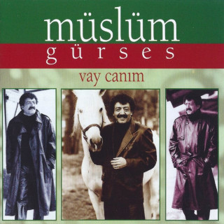 Müslüm Gürses - Vay Canım album cover
