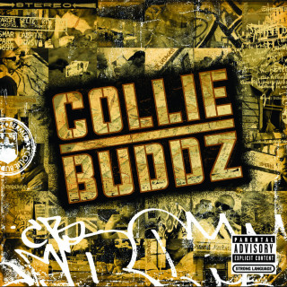 Collie Buddz - Collie Buddz album cover