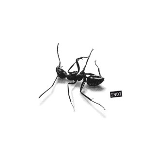 Gazzelle - INDI album cover