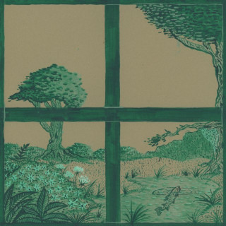 Dirty Projectors & stargaze - Song Of The Earth album cover