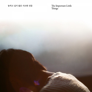 Isaac Hong - THE IMPORTANT LITTLE THINGS EP cover