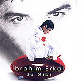 İbrahim Erkal - Su Gibi album cover