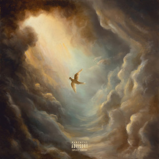 Aaryan Shah - Do You See The Birds, Too? album cover
