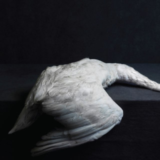 AMENRA - Mass VI album cover