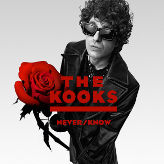 The Kooks - Never / Know album cover
