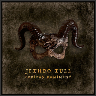 Jethro Tull - Curious Ruminant album cover