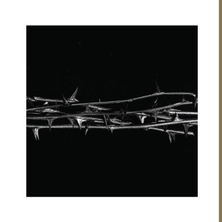 AMENRA - De Doorn album cover