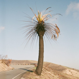 Big Thief - Passional Relations EP cover
