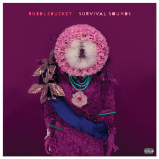 Rubblebucket - Survival Sounds album cover