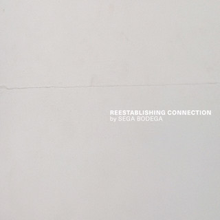 Sega Bodega & Trustfall - Reestablishing Connection EP cover