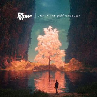 Ripe - Joy In The Wild Unknown album cover