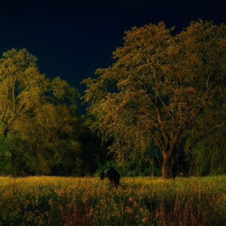 Hayd - HOW CLOSE AM I? EP cover