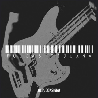 Alta Consigna - Desde Las Pulgas Tijuana live album cover