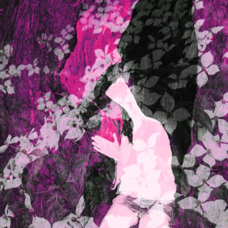 Rubblebucket - Omega La La album cover