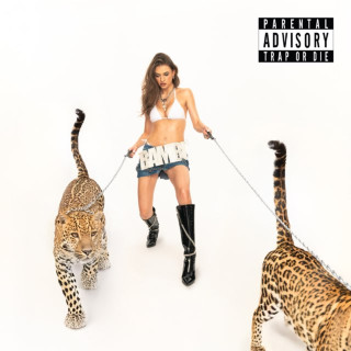 bambi - TRAP OR DIE album cover