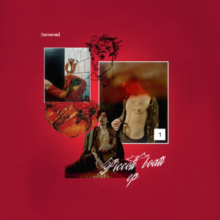 Tananai - Piccoli Boati EP cover