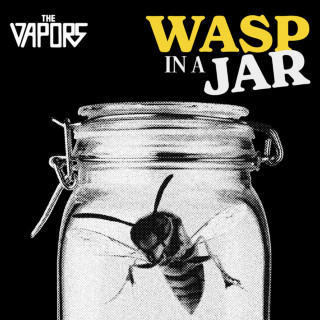The Vapors - Wasp In A Jar album cover