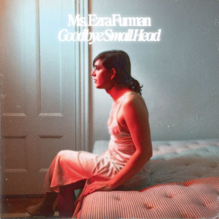 Ezra Furman - Goodbye Small Head album cover