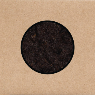 Swans - Birthing album cover
