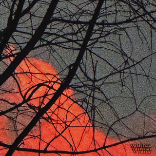 Rxseboy - wither EP cover