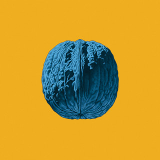 Brunori Sas - L'Albero Delle Noci album cover