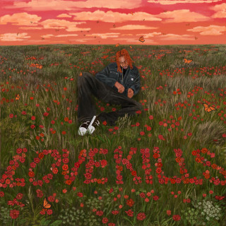 Dro Kenji - LOVE KILLS album cover