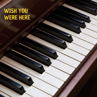 David Gilmour, Roger Waters, Richard William Wright & wefloydians - Wish You Were Here album cover