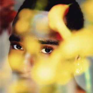 Durand Bernarr - BLOOM album cover