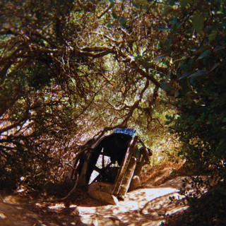 Ty Segall - Possession album cover