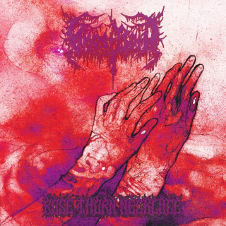 Ghost Bath - Rose Thorn Necklace album cover