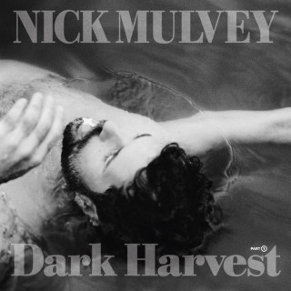 Nick Mulvey - Dark Harvest, Pt. 1 album cover