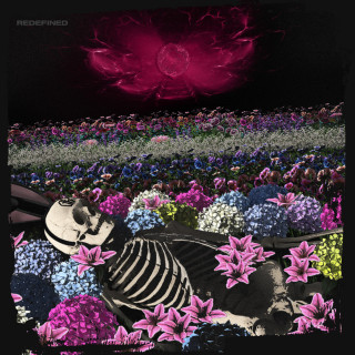 Dead Rabbitts - Redefined album cover