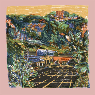 Adult Mom - Natural Causes album cover