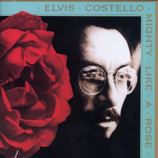 Elvis Costello - Mighty Like A Rose album cover