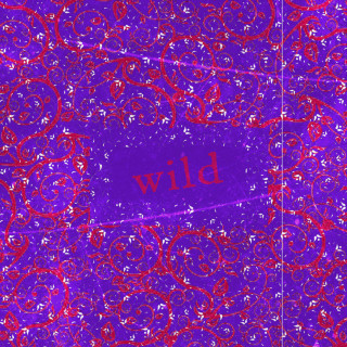 Michelle Chamuel - Wild single cover