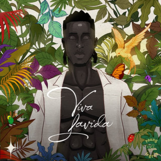 Joeboy - Viva Lavida album cover