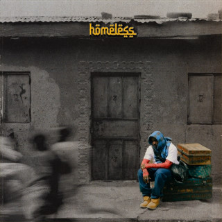 Llona - Homeless album cover