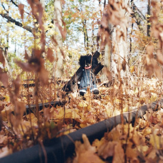 billy woods - GOLLIWOG album cover