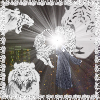 2hollis - White Tiger album cover