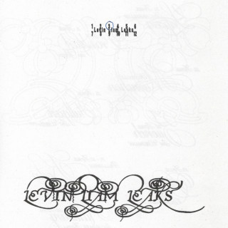 Levin Liam - LEVIN LIAM LEAKS 2025 EP cover