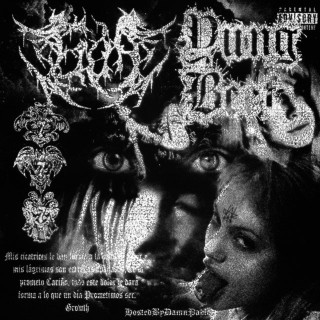 Yung Beef - Traumatismo Kraneoencefálico II album cover