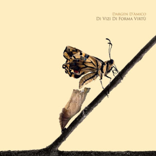 Dargen D'Amico - Di Vizi Di Forma Virtù album cover